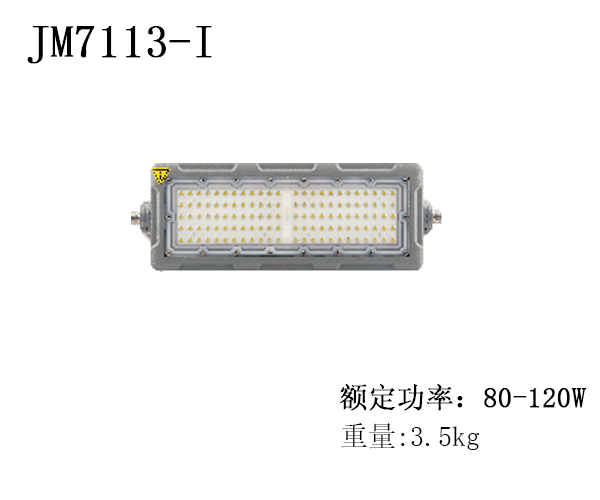 JM7113-I  LED投（泛）光灯
